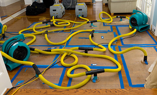 Professional Structural Drying And Dehumidification technician working in Huron, CA